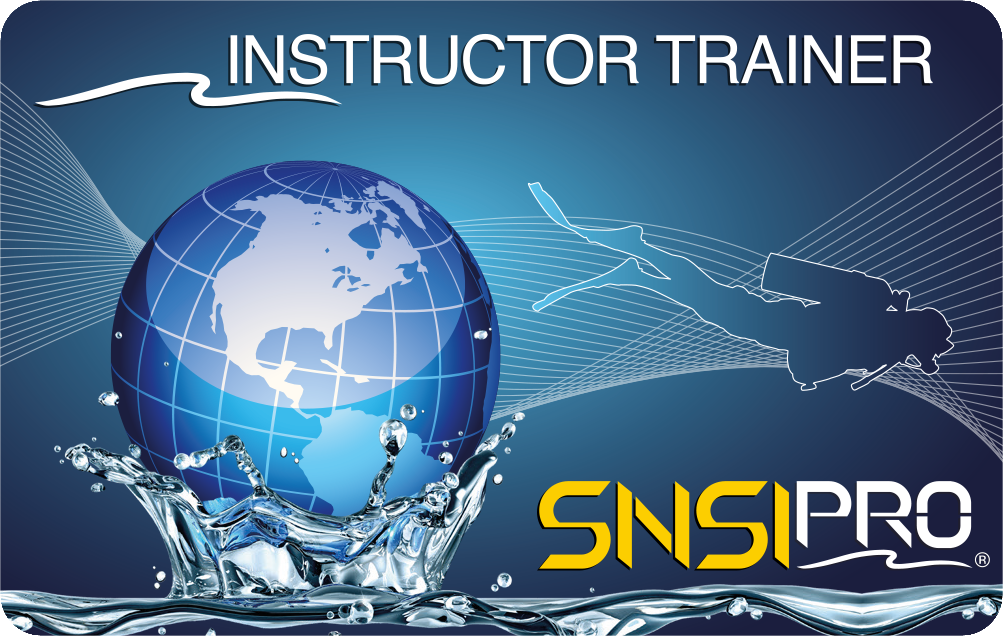 Instructor Trainer (IT)