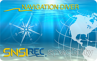 Navigation Diver