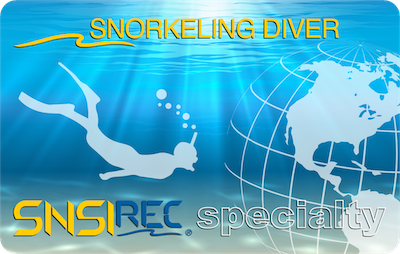 Snorkeling Diver