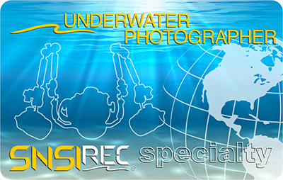 Underwater Photography