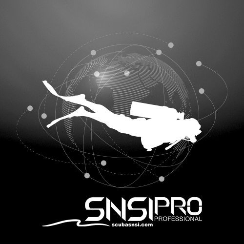 Kit Profesional Digital